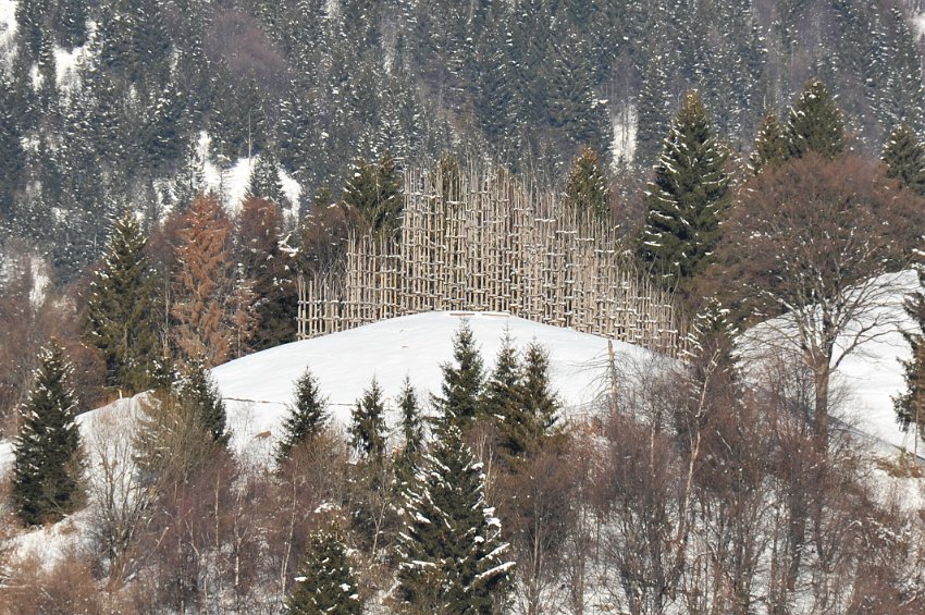 46 Cattedrale Vegetale.JPG